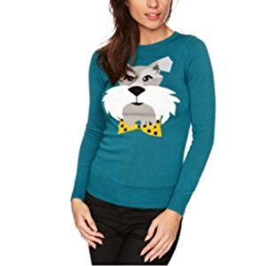 Schnauzer dog face sweater